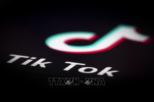 Lo ngại về an ninh mạng, nhiều quốc gia trên thế giới ban bố lệnh cấm cài đặt TikTok